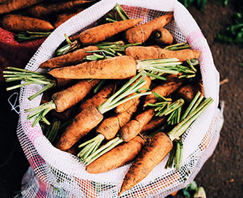 Nuclear knowledge in agriculture