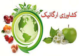 تولید محصول سالم و ارگانیک و چالش های پیش رو