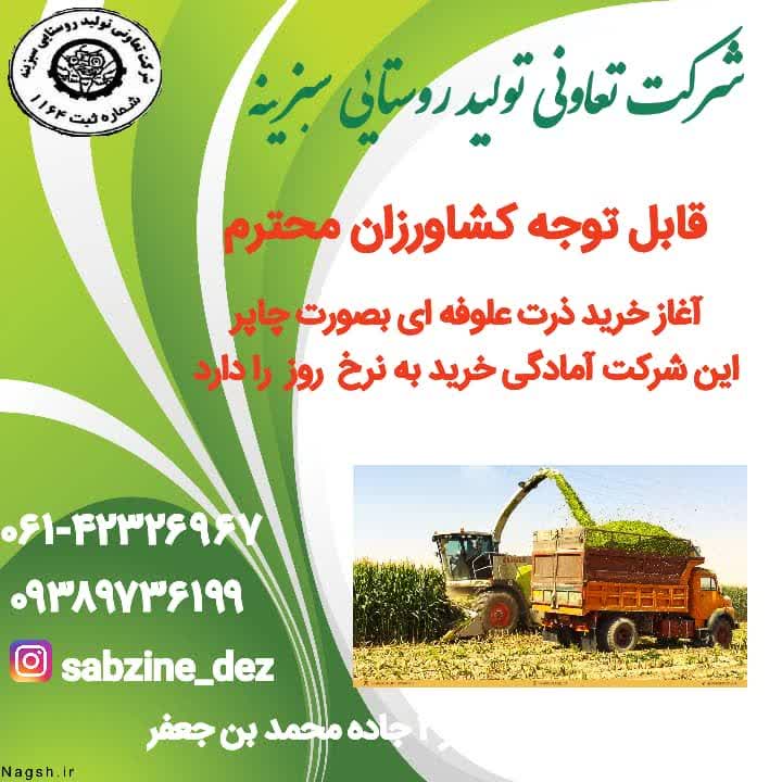 خرید ذرت علوفه چاپر توسط شرکت سبزینه