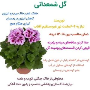 photo5337585139