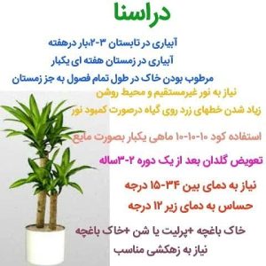 دراسنا