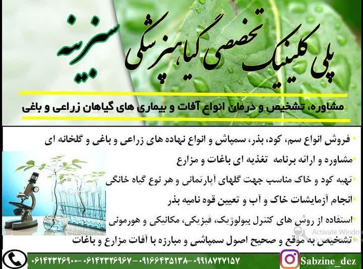 کلینیک گیاهپزشکی سبزینه