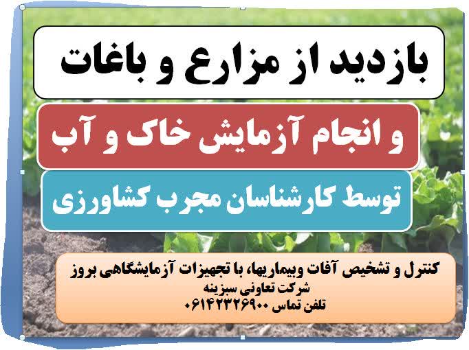بازدید کارشناسان از مزارع و باغات