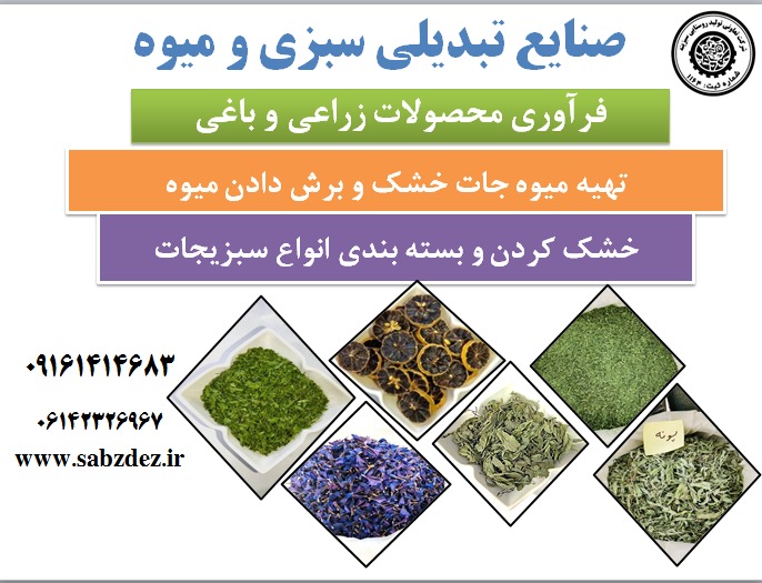 صنایع تبدیلی سبزی و میوه