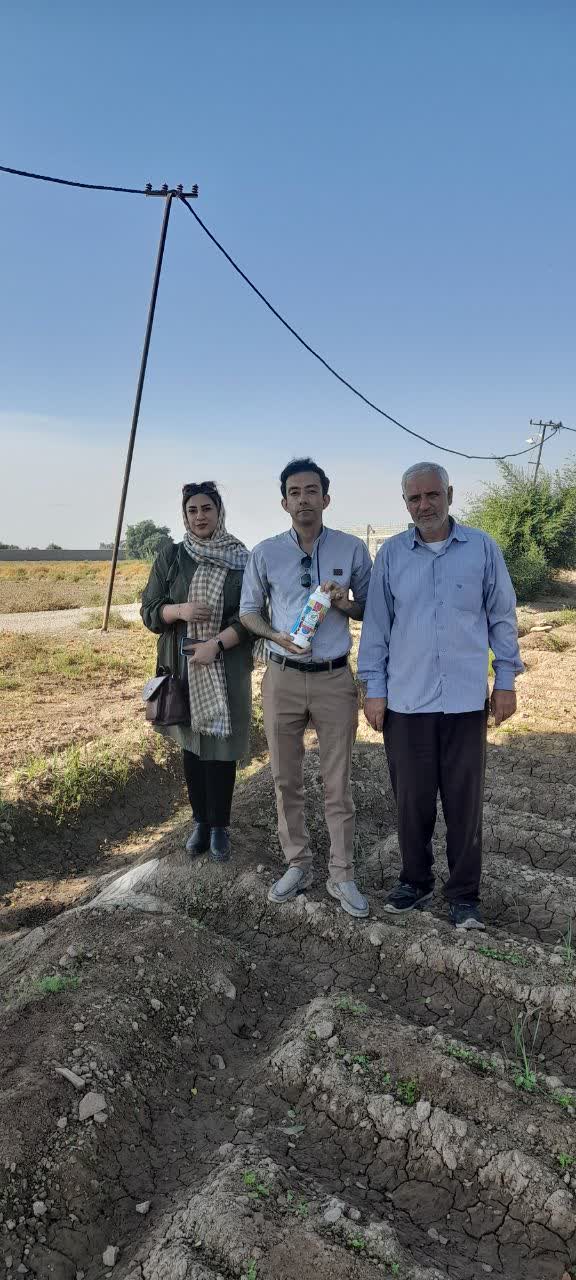 اجرای طرح پایلوت کود رامونا در مزارع جعفری تحت پوشش شرکت سبزینه اجرای طرح پایلوت کود رامونا در مزارع جعفری تحت پوشش شرکت سبزینه