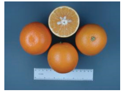 کلیاتی در مورد مرکبات 6 3