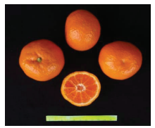 کلیاتی در مورد مرکبات 8 55