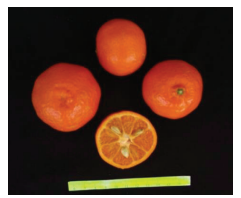 کلیاتی در مورد مرکبات 9 563