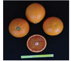 کلیاتی در مورد مرکبات 5 Capture2