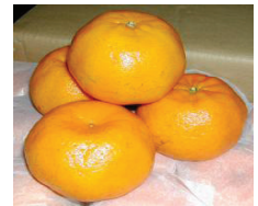 کلیاتی در مورد مرکبات 13 کینو