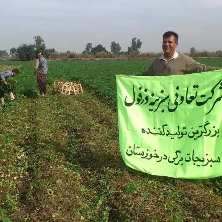 شرکت تعاونی سبزینه دزفول