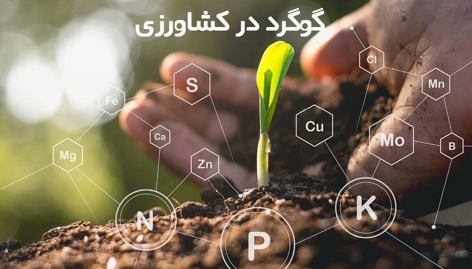 کاربرد کود گوگرد در کشاورزی