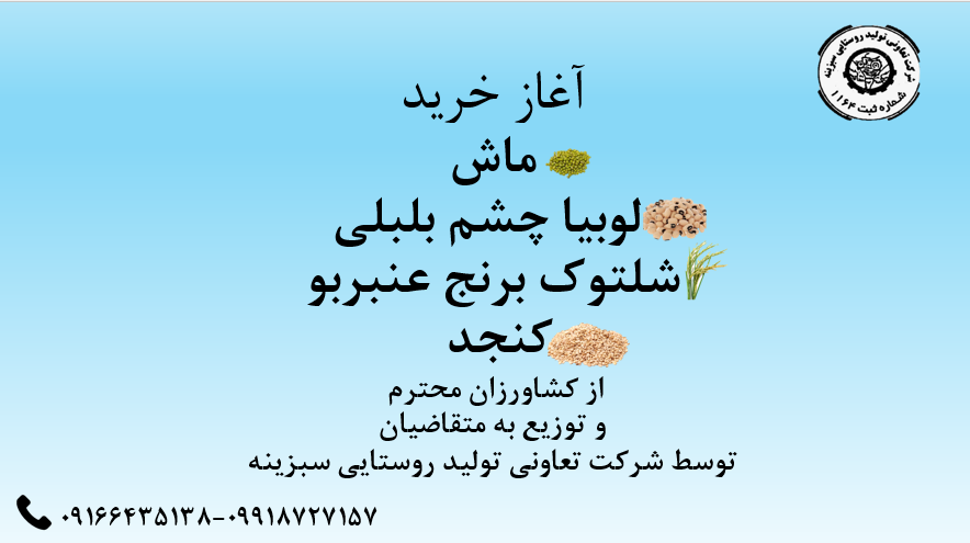 آغاز خرید ماش، لوبیا چشم بلبلی، شلتوک برنج عنبربو، کنجد توسط شرکت سبزینه