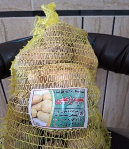 اجرای پایلوت مدل ارائه خدمت زنجیره تولید، فرآوری و توزیع محصولات صیفی و سبزی 3 Picture3